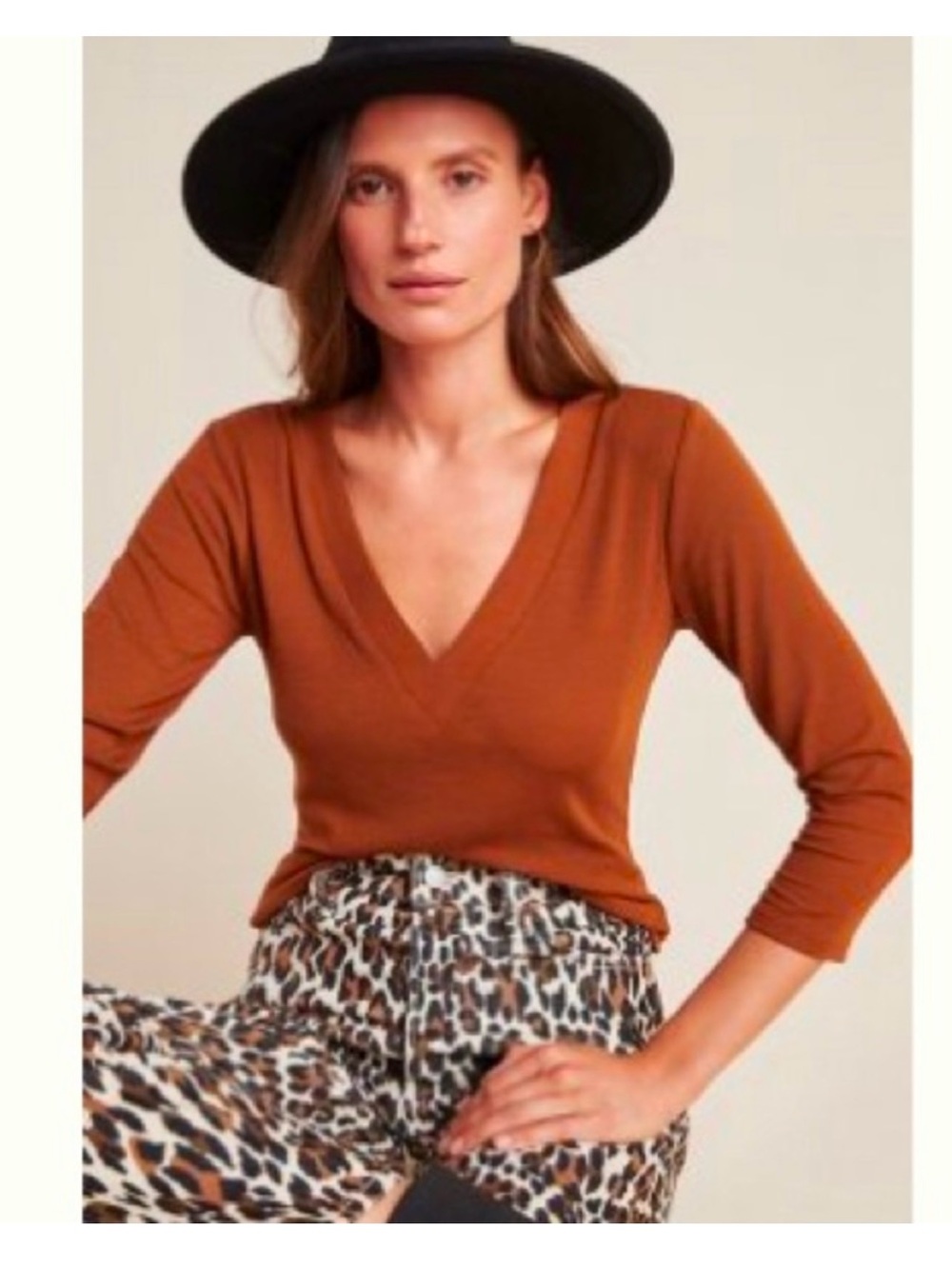 Anthropologie Brown V-Neck Long Sleeve Top